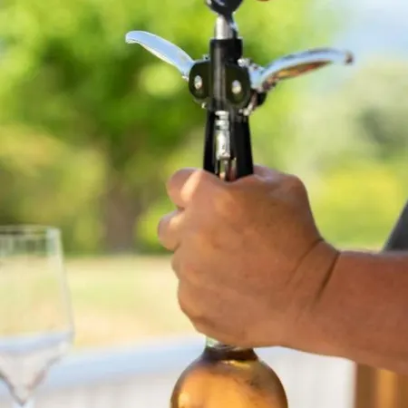 Cavalier Lefkada Av Nikiana